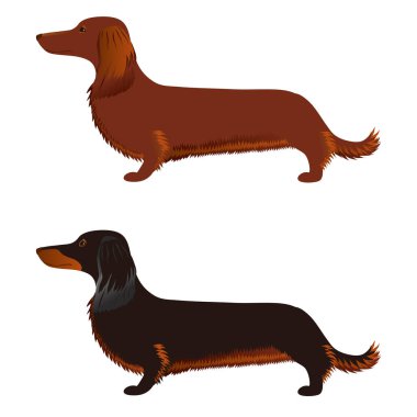 Bir köpeğin vektör illüstrasyonu