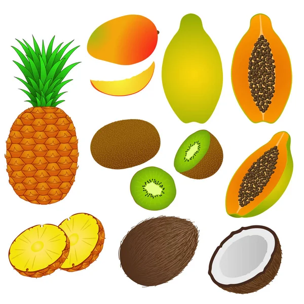 Vector Set Tropical Fruits Vegetables — Stock Vector