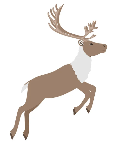 Illustration Vectorielle Cerf Sur Fond Blanc — Image vectorielle