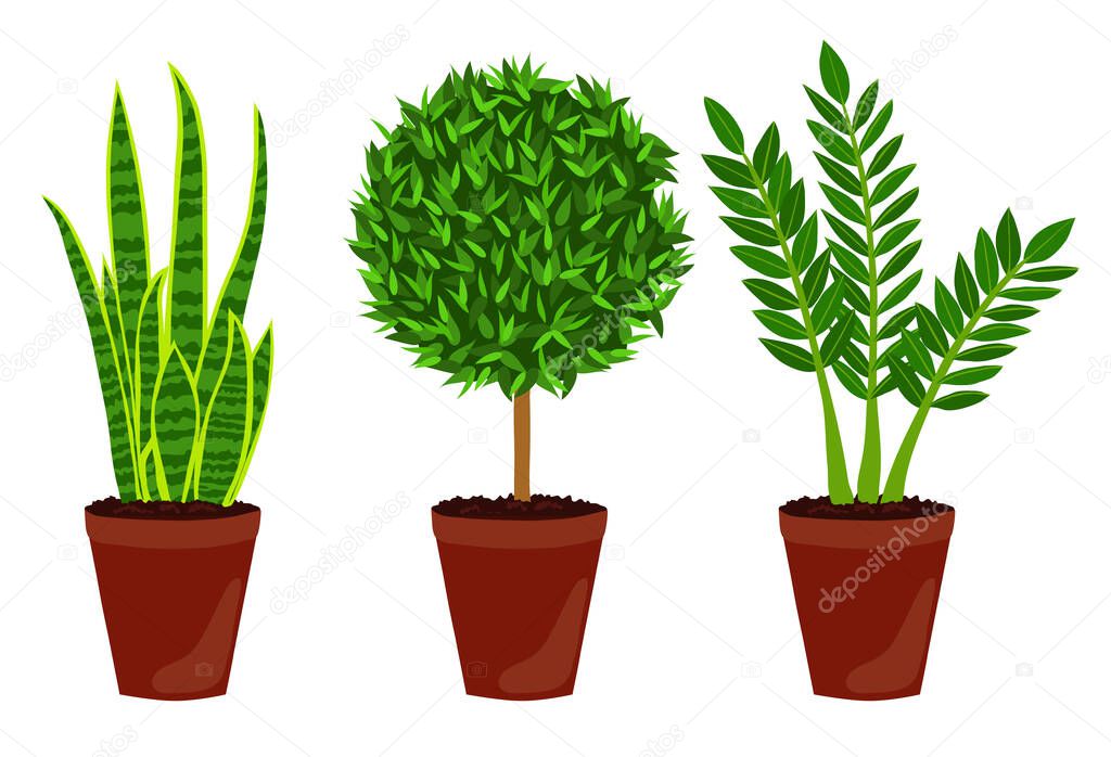 vector set of plants in pots