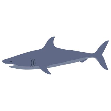 Beyaz arkaplanda izole edilmiş köpekbalığı vektörü çizimi