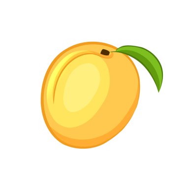 Sarı kayısı ikonu. vektör illüstrasyonu