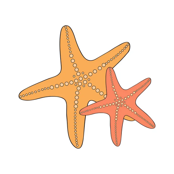 Starfish Isolado Fundo Branco Ilustração Vetorial — Vetor de Stock