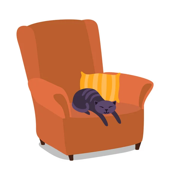 Gato Durmiendo Sillón Con Almohada Sobre Fondo Blanco — Vector de stock