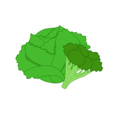 Beyaz arkaplanda yeşil lahana