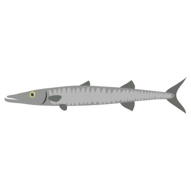 Beyaz arkaplandaki bir balığın vektör çizimi