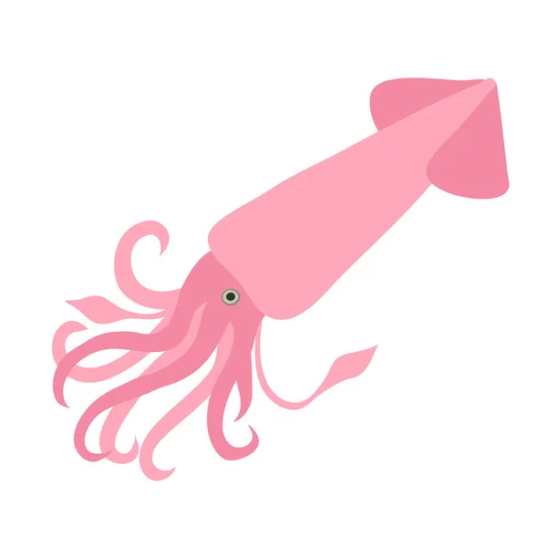 Vector Illustration Pink Cuttlefish — Stock Vector