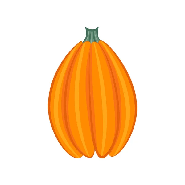 Calabaza Aislada Sobre Fondo Blanco — Archivo Imágenes Vectoriales