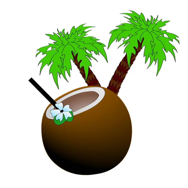 热带椰子酱的病媒图解 — 图库矢量图片