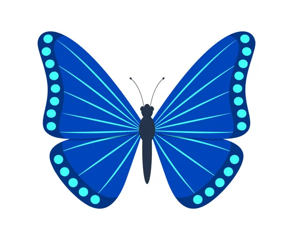 Blauer Schmetterling Isoliert Auf Weißem Hintergrund Vektorgrafiken