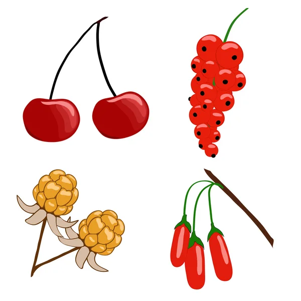 berry seti