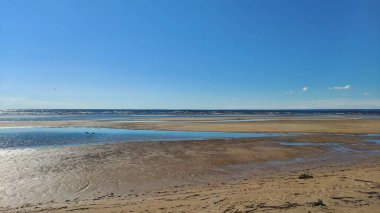 Körfez ve bitişik sahil