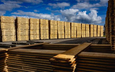 Kereste fabrikasında kurutmak için depolanmış.