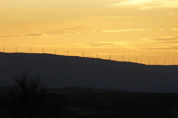 giant windmills as a horizon in the summer twilight