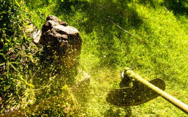 Bir sınırın yanındaki bahçede çim biçme makinesi.