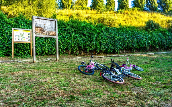 three bicycles in a park resting horizontally on the grass next to a path