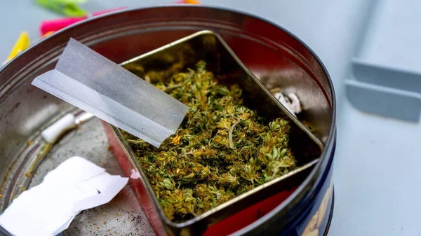 Marihuana, içinde kağıt ve sigara filtreleri olan metal bir kutuda sigara içmeye hazır.