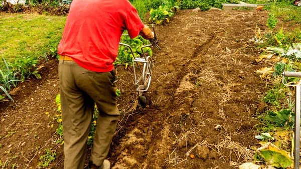 Agricultor Labrando Tierra Huerto Con Arado Manual Individual — Foto de Stock