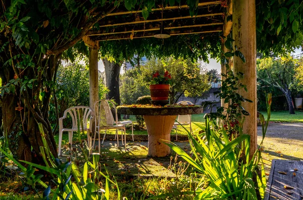 table and chairs covered by a vejetal pergola that drops its leaves before the arrival of autumn