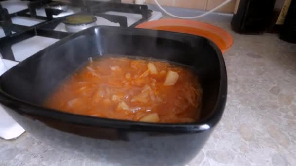 Дві тарілки з гарячим борщу — стокове відео
