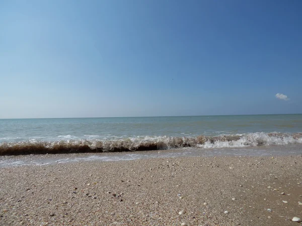 Dondurulmuş deniz dalga