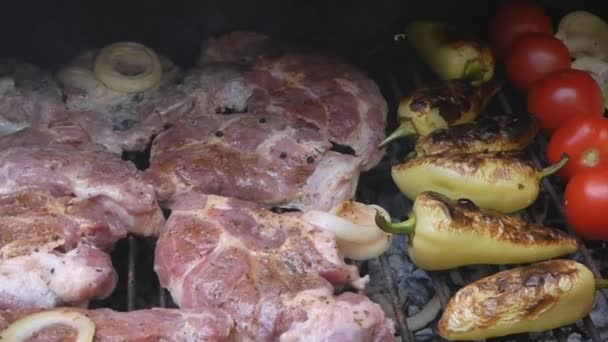 Pedaços de carne e legumes — Vídeo de Stock