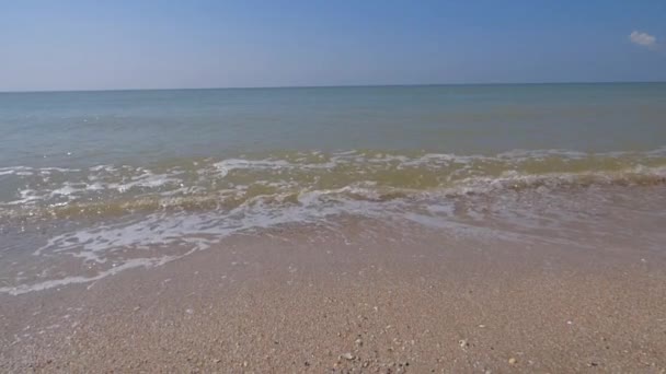 Морські хвилі — стокове відео