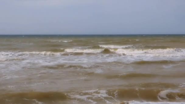 Deniz dalgaları — Stok video