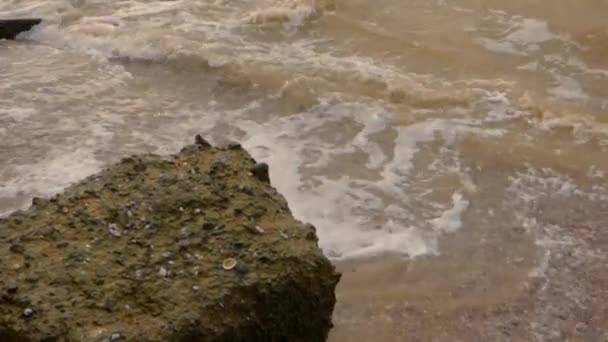 Морские камни — стоковое видео