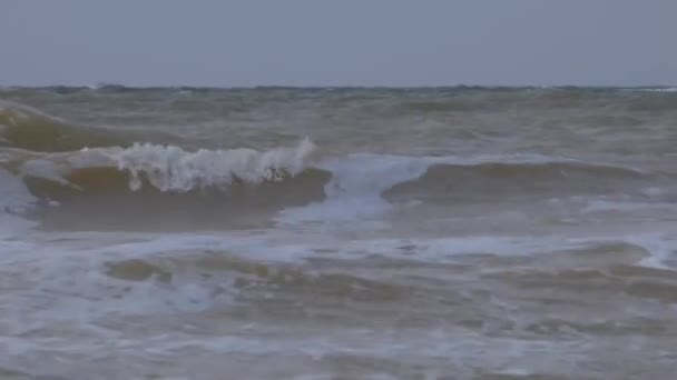 Морская волна — стоковое видео