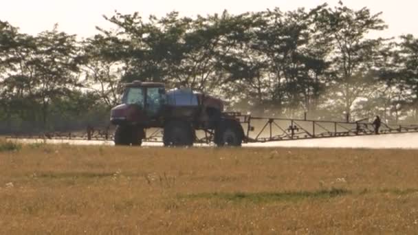 Трактор в поле — стоковое видео