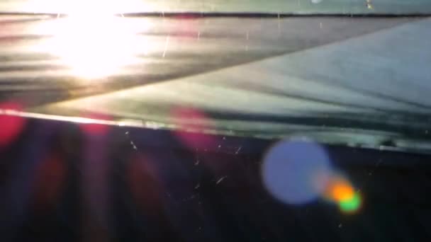 Spinnweben in der Sonne — Stockvideo