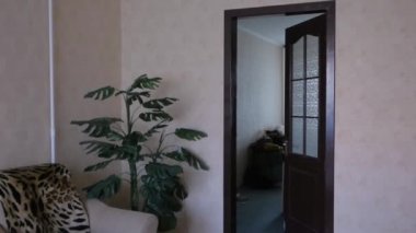 Bir adam bir odaya girer