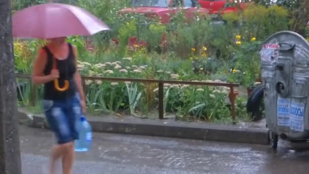 Дождливая летняя погода — стоковое видео