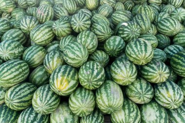 Karpuz Satılık yığını