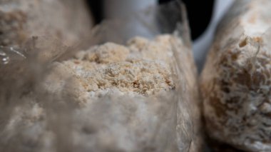 Aslan yelesi mantarı. Akıl sağlığı için nootropik mantar