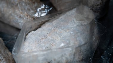 Dünyadaki tıbbi mantar kültürü, Aslan yelesi.