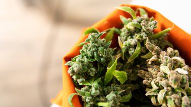 Dünyada marihuananın yasallaştırılması. Esrarın eğlence amaçlı kullanımı