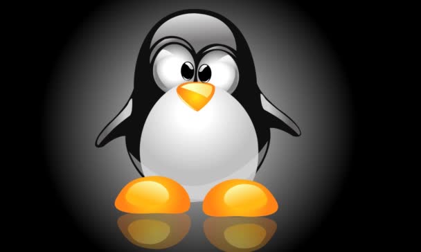 Carino ballo pinguino — Video Stock