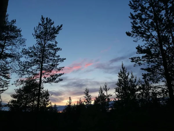 Coucher Soleil Dans Forêt Randonnée — Photo