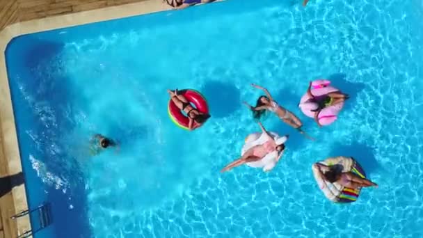 Воздушный. Друзья отдыхают в бассейне с надувным фламинго, лебедем, матрасом. Счастливая молодежь купается на плавучих матрасах в роскошном курорте. Вид сверху. Девушки в бикини загорают на солнце — стоковое видео