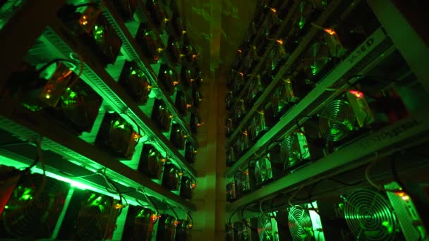 Bitcoin mineurs dans la grande ferme. L'équipement minier ASIC sur des supports de stand mine crypto-monnaie dans un conteneur en acier. Blockchain technologie application spécifique circuit intégré datacenter. Lumières de salle serveur. — Video