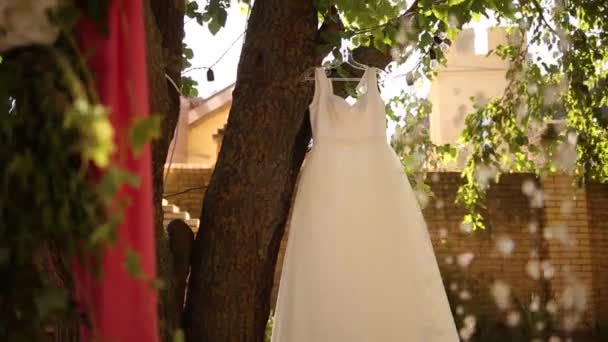 Γαμήλια διακόσμηση νυφικά αξεσουάρ ακολουθία κλιπ πακέτο. Ρουστίκ ανθοσυνθέσεις, τριαντάφυλλα, φόρεμα, λουλούδια, πολυέλαιο, γιρλάντες, δαχτυλίδια και παπούτσια. FullHD 1080p βίντεο — Αρχείο Βίντεο