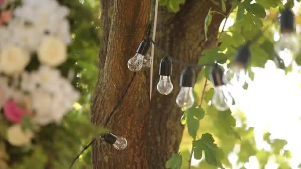 Lampjes slinger en bloemen samenstelling. Elektrische lampen opknoping op boom als decoratie voor vakantie close-up rack focus — Stockvideo