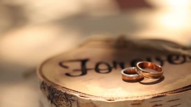 Anillos de boda se encuentran en el pie de madera estilo rústico tocón con la inscripción "para siempre" en la ceremonia para el novio y la novia — Vídeos de Stock