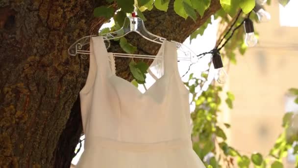 Wedding bridal dress hanging on a tree at rustic style wedding. Country decor with pink flower bouquets, garlands and cloth outdoors. — 图库视频影像