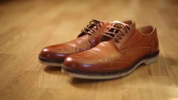 Video van mooie mannen bruine brogues schoenen liggend op de houten vloer. Geïsoleerd uitzicht, geen mensen. — Stockvideo