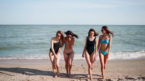 Grupa ładnych przyjaciółek bawiących się spacerując piaszczystą tropikalną plażą w strojach kąpielowych. Międzyrasowe kobiety rozmawiające i śmiejące się w letni dzień na świeżym powietrzu. Dziewczyny w bikini i strojach kąpielowych nad morzem. — Wideo stockowe