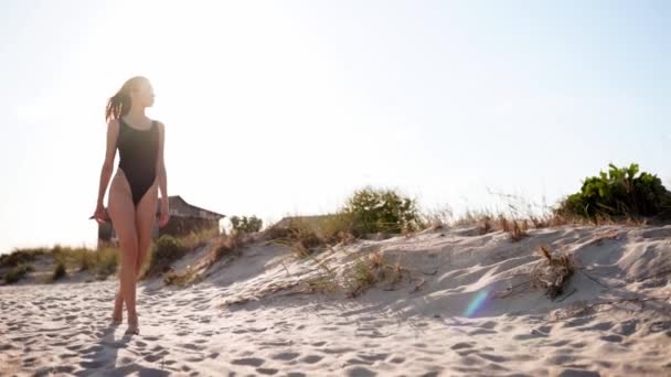 Giovane donna attraente attrezzata in costume da bagno e occhiali da sole a piedi su una spiaggia tropicale soleggiata. Bella ragazza in bikini dalla forma sportiva che si gode la passeggiata sulla riva sabbiosa del mare al rallentatore. Raggi di sole. — Video Stock