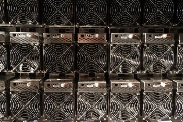 Bitcoin ASIC Bergleute im Lager. ASIC-Bergbauausrüstung auf Ständern für den Abbau von Kryptowährungen in Stahlcontainern. Blockchain-Technologie anwendungsspezifische Speicherung integrierter Schaltungseinheiten. — Stockfoto